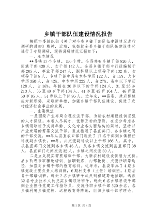 乡镇干部队伍建设情况报告