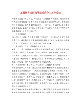 主题教育巡回指导组成员个人工作总结 