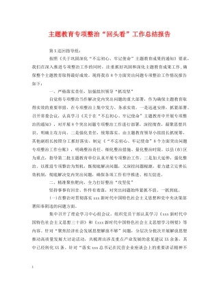 主题教育专项整治“回头看”工作总结报告 