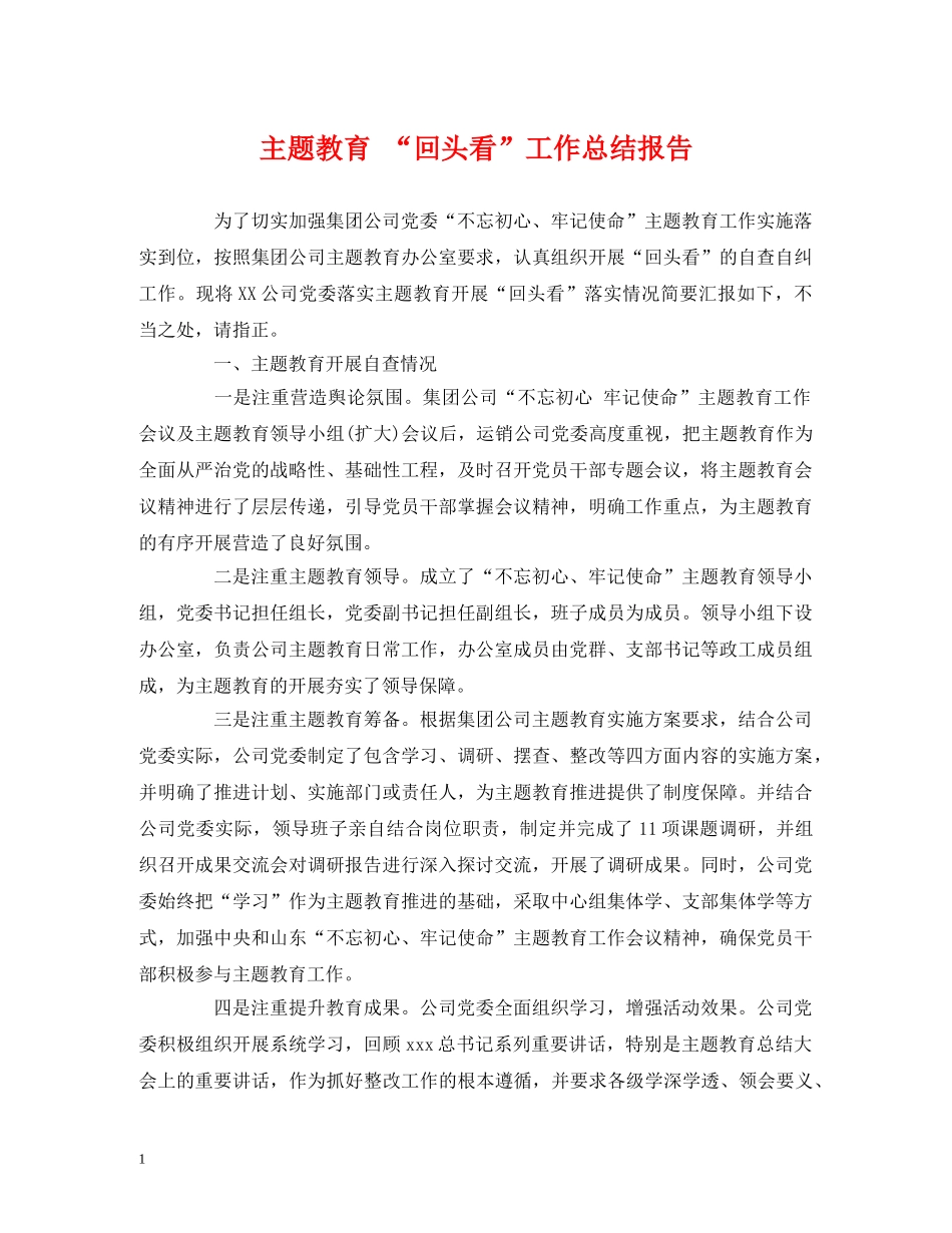 主题教育 “回头看”工作总结报告 _第1页