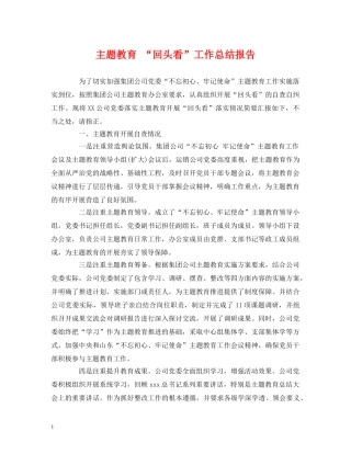 主题教育 “回头看”工作总结报告 