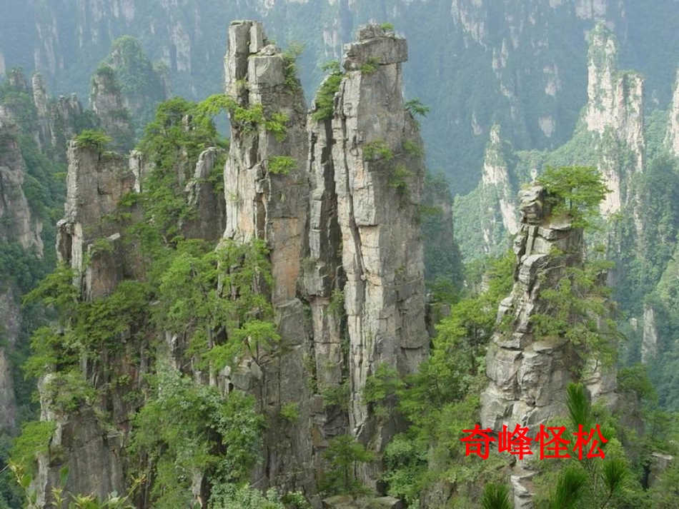 《敬畏自然》_第3页