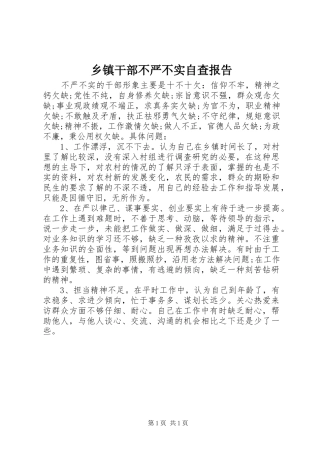 乡镇干部不严不实自查报告