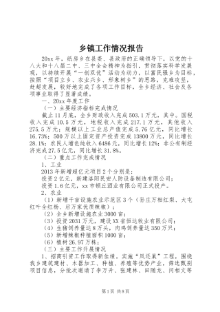 乡镇工作情况报告