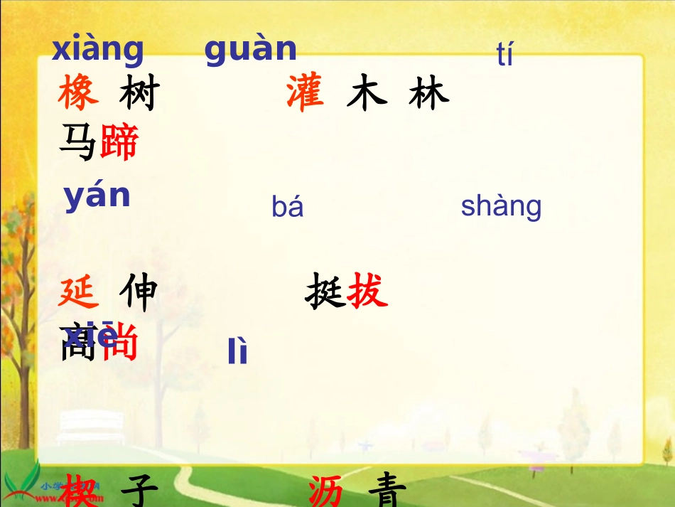 _路旁的橡树_第3页