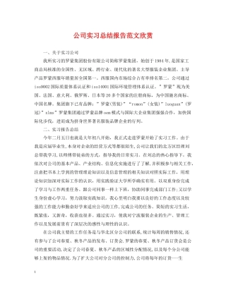 公司实习总结报告范文欣赏