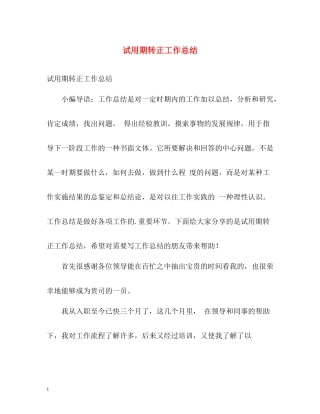 试用期转正工作总结22