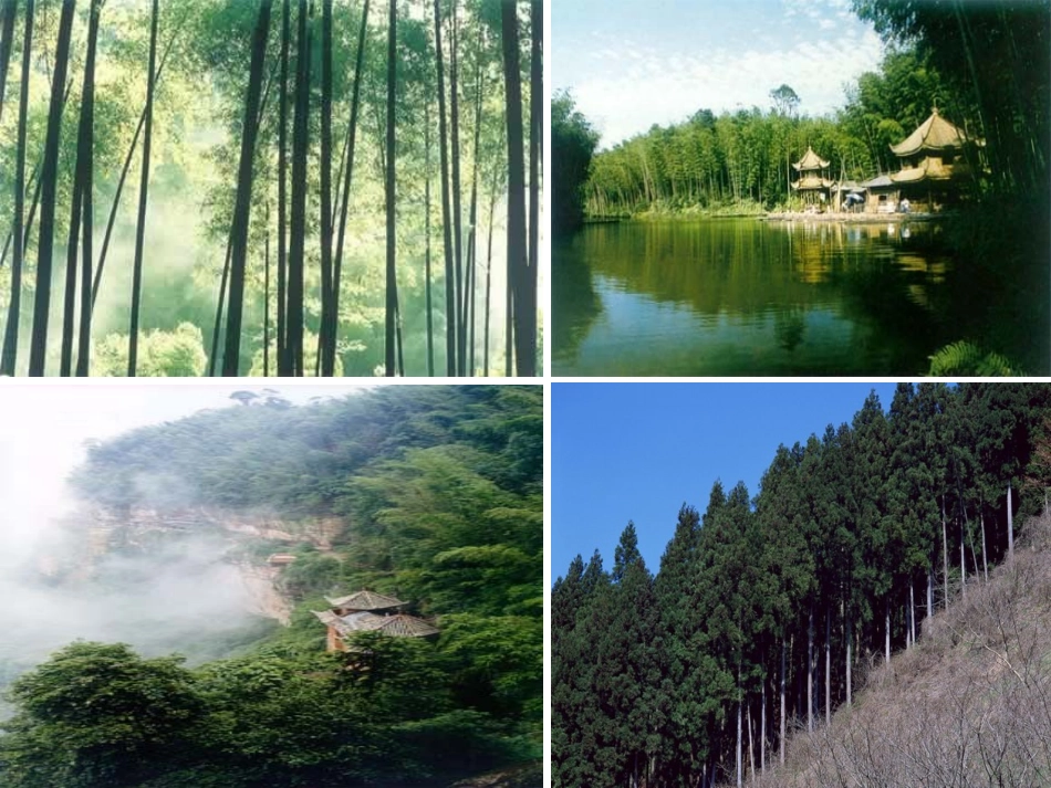 大自然的启示(完美版) ()_第2页