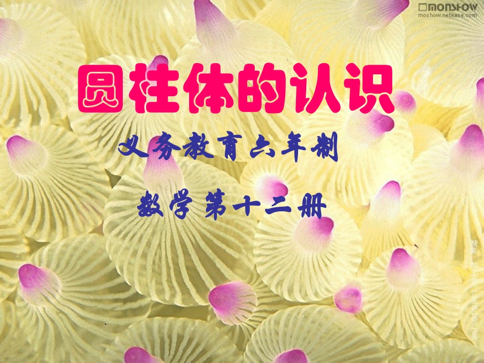 圆柱体的认识2_第1页