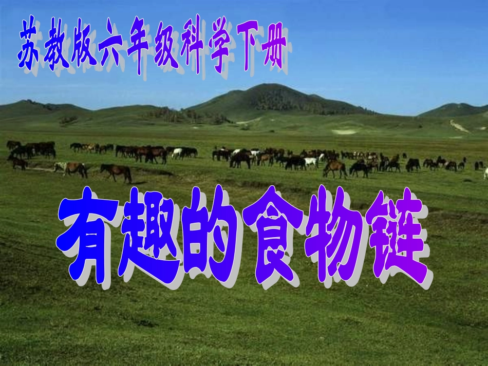 《有趣的食物链》课件[1111111111111]_第1页