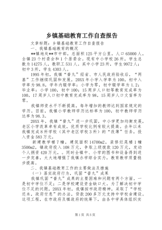 乡镇基础教育工作自查报告