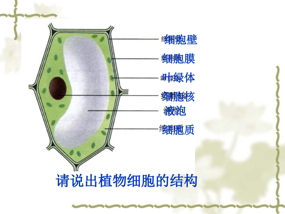 《动物细胞》_第2页