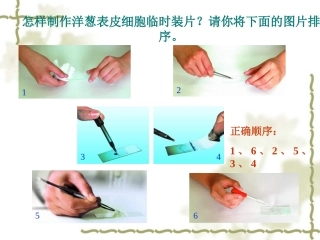 《动物细胞》