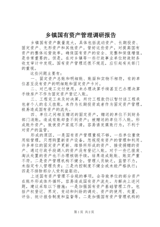 乡镇国有资产管理调研报告