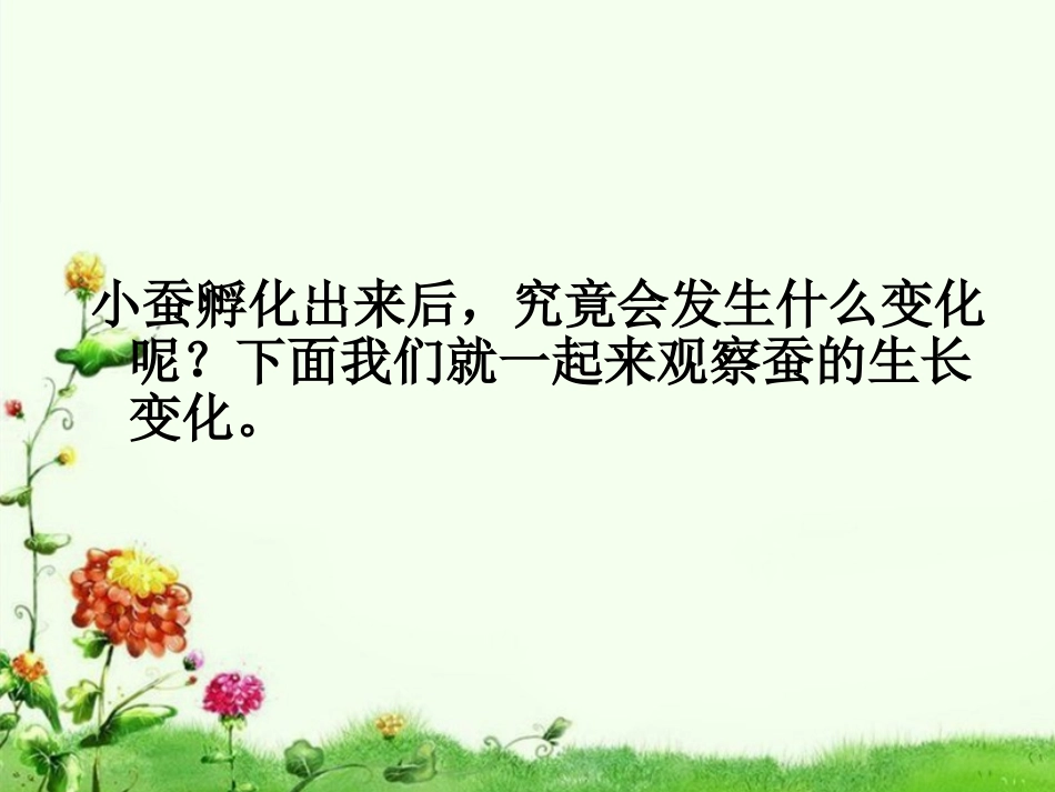 -蚕的生长变化_第2页