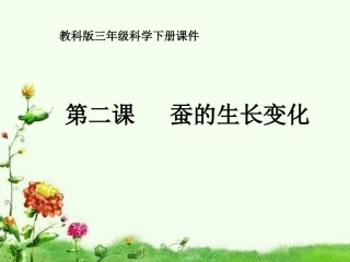 -蚕的生长变化