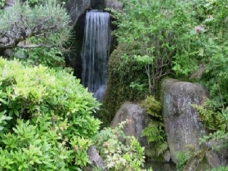 失踪的森林王国