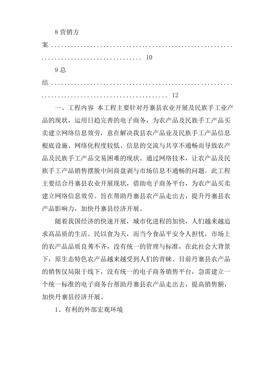 农村电子商务创业计划书_第2页