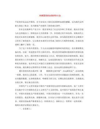 共青团员的自我评价大全