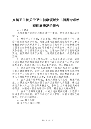 乡镇卫生院关于卫生健康领域突出问题专项治理进展情况的报告