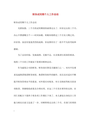 财务试用期个人工作总结2)