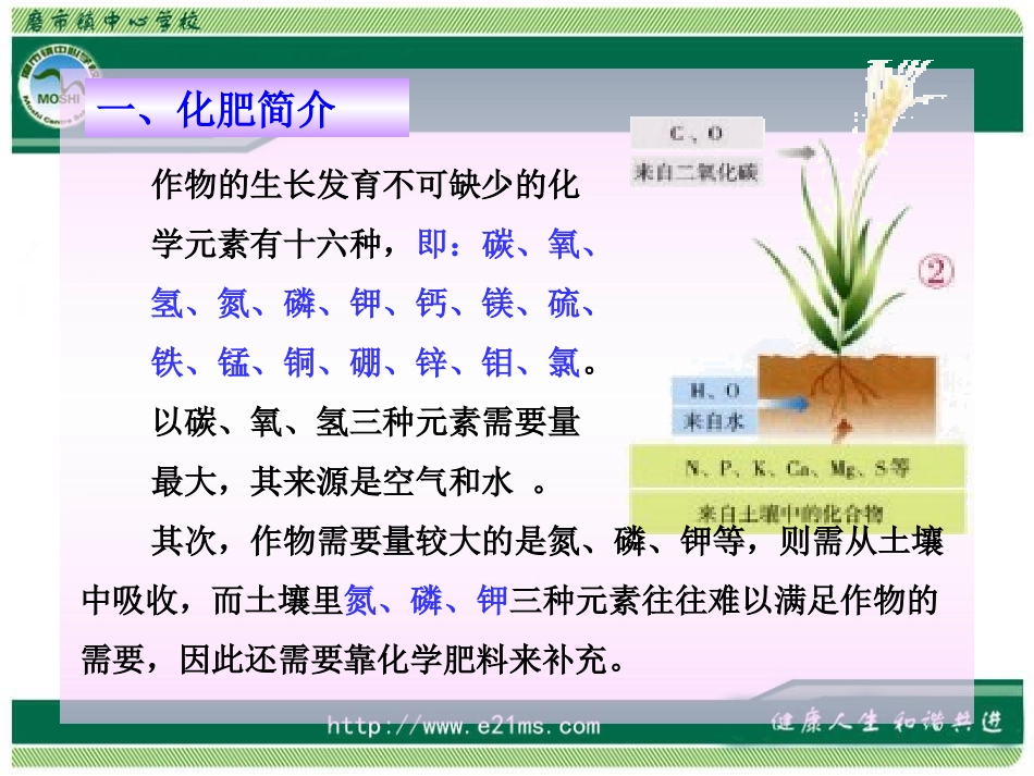 化学肥料PPT_第2页