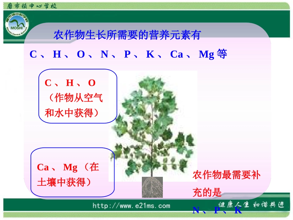 化学肥料PPT_第3页