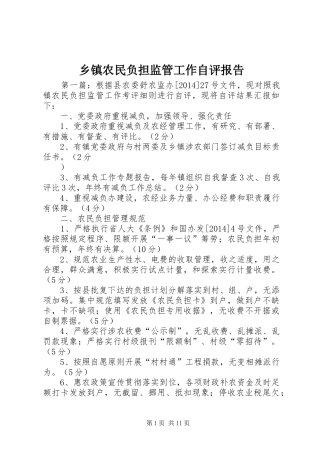 乡镇农民负担监管工作自评报告