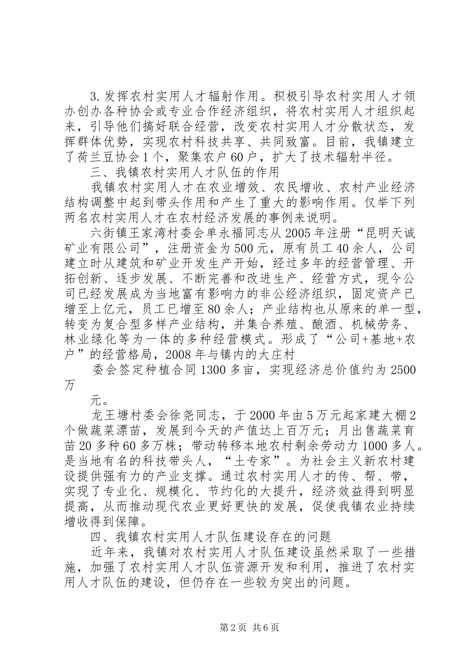 乡镇农村实用人才队伍建设调研报告_第2页
