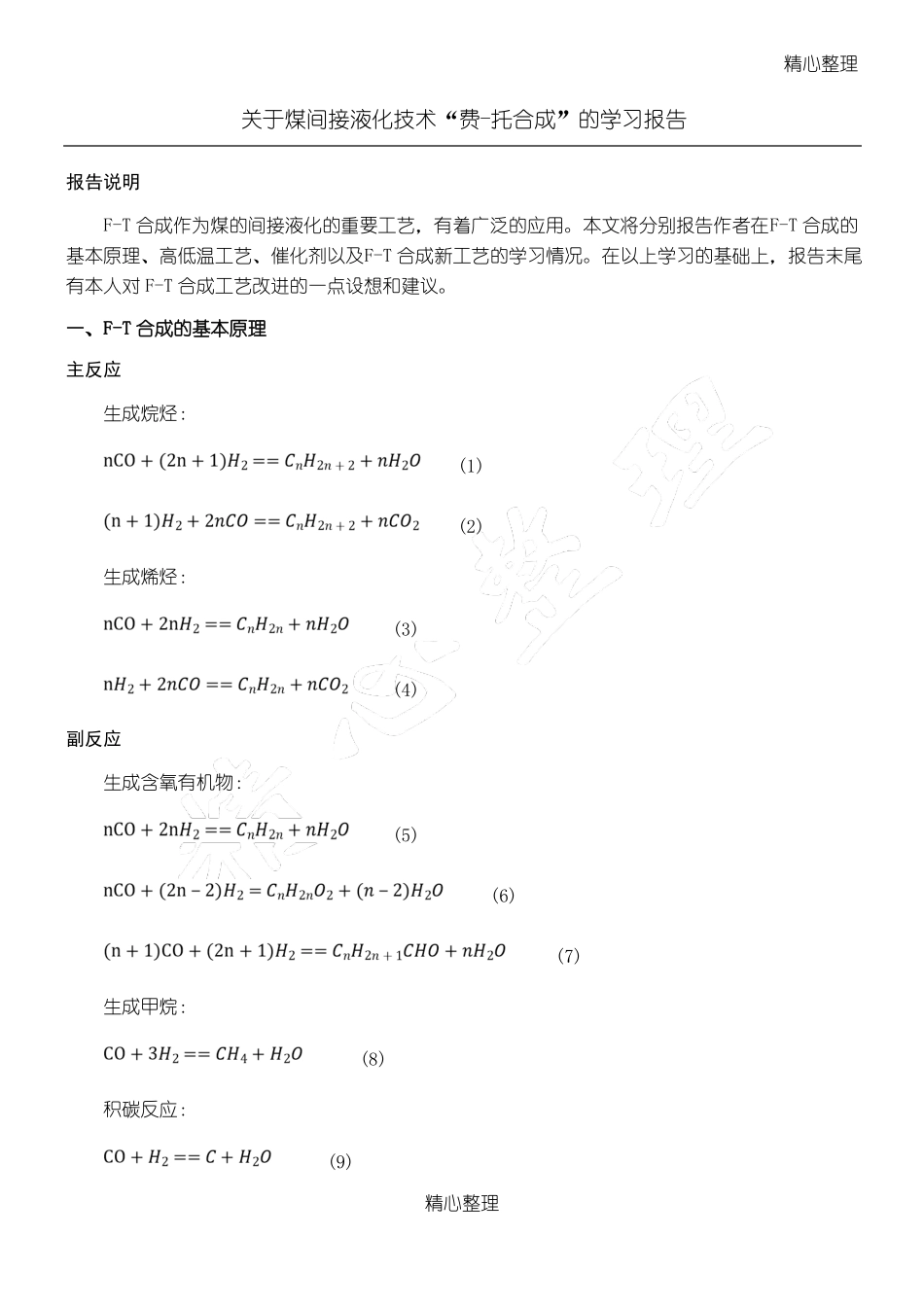 费托合成工艺学习报告本科_第1页