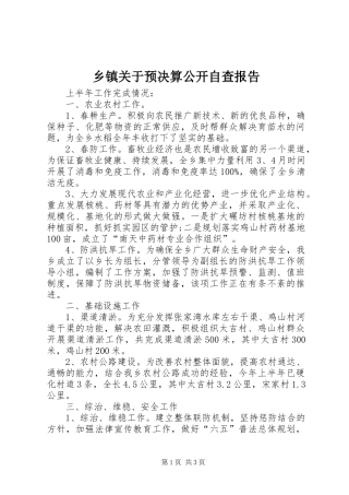 乡镇关于预决算公开自查报告