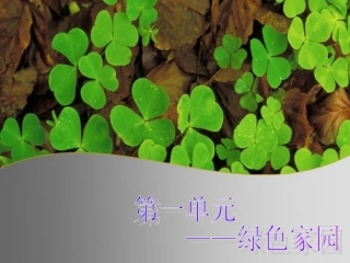 第一单元欣赏