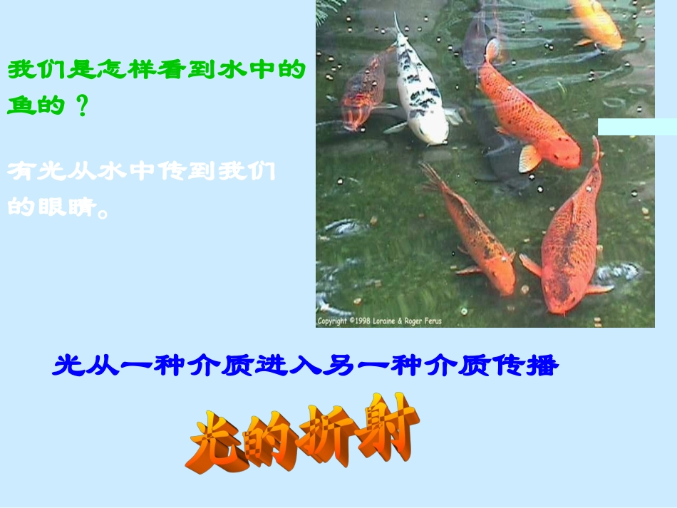 光的折射课件_第3页
