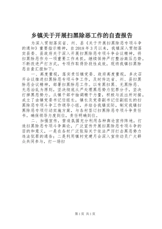 乡镇关于开展扫黑除恶工作的自查报告