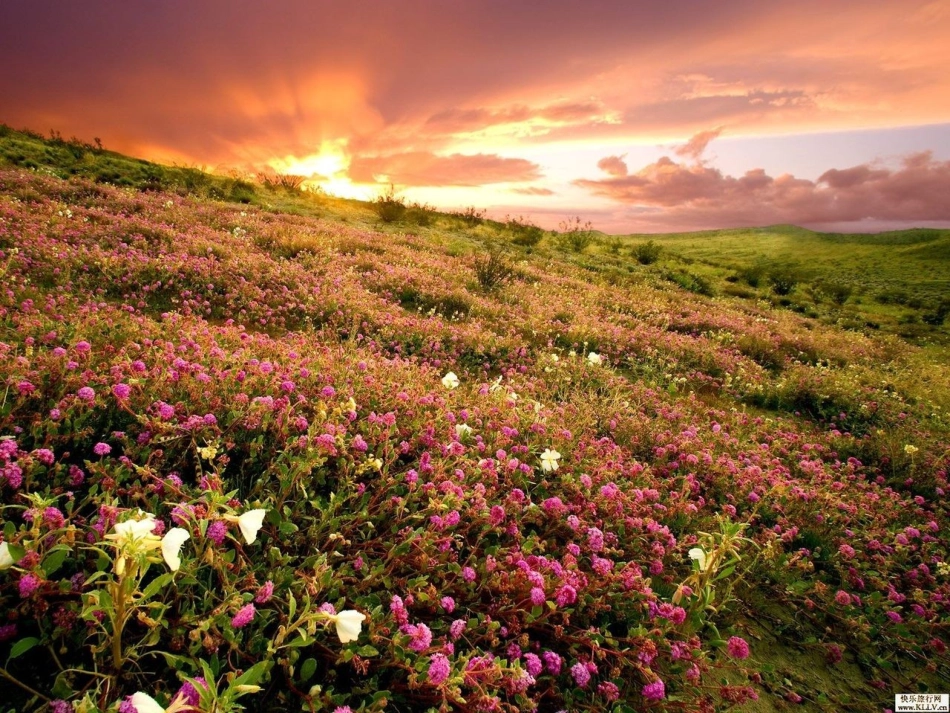 粤教版八上第三单元第二课欣赏与赞美（共16张PPT）_第2页