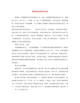 销售员的自我评价总结