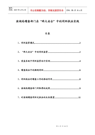 滨湖局稽查部门在“两大安全”中的闭环执法实践
