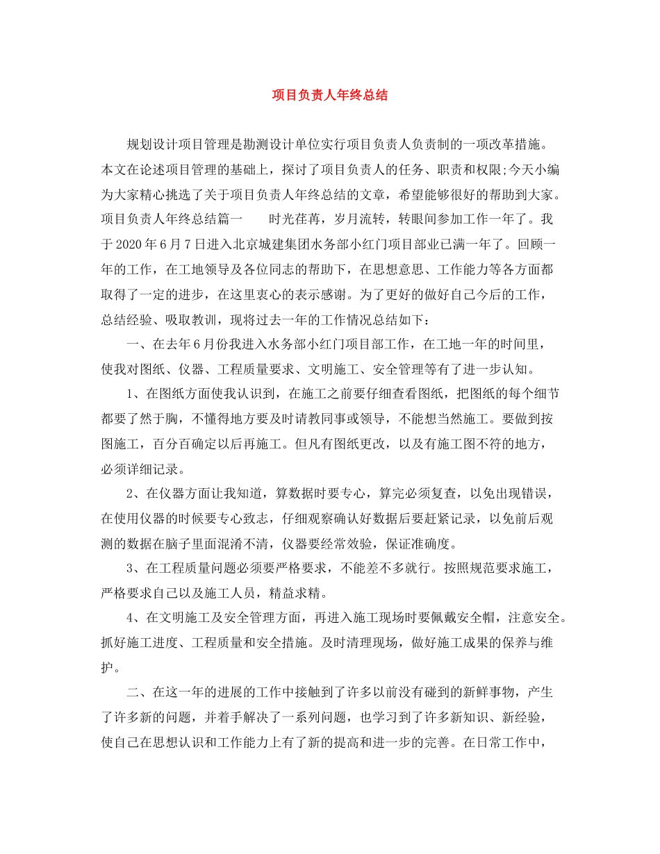 项目负责人年终总结_第1页