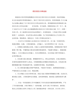 项目负责人年终总结