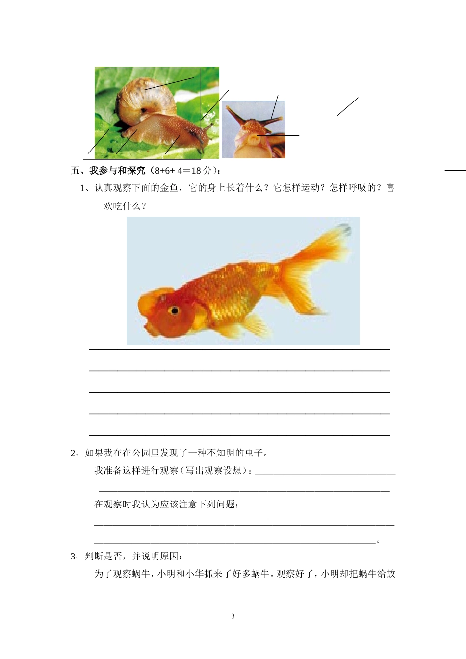 三上科学《动物》_第3页