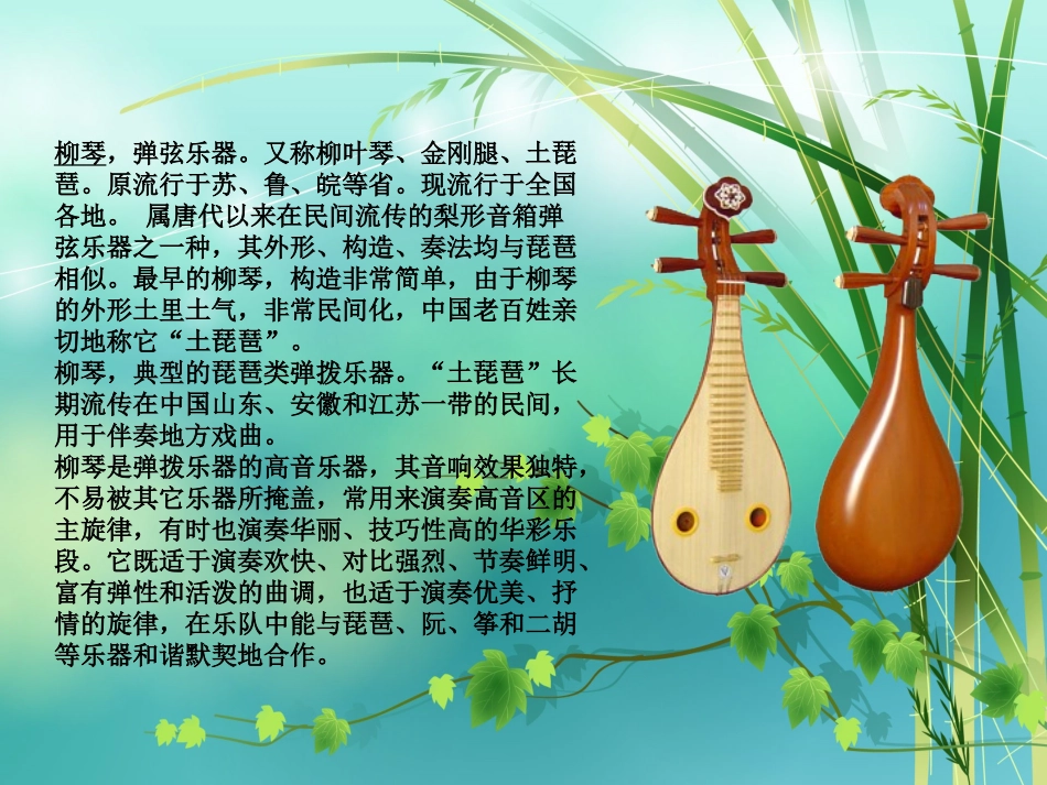 五年级（下）册第一课：柳琴与琵琶_第3页