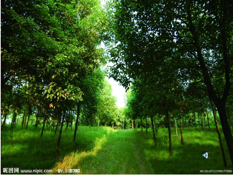 呼吸的过程课件_第1页