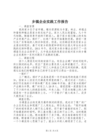 乡镇企业实践工作报告