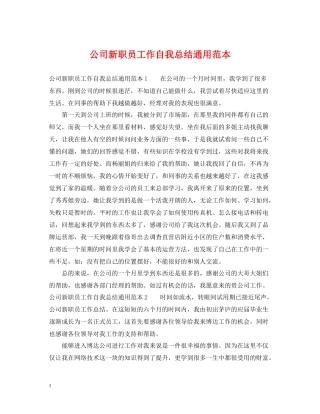 公司新职员工作自我总结通用范本