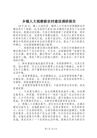 乡镇人大视察新农村建设调研报告