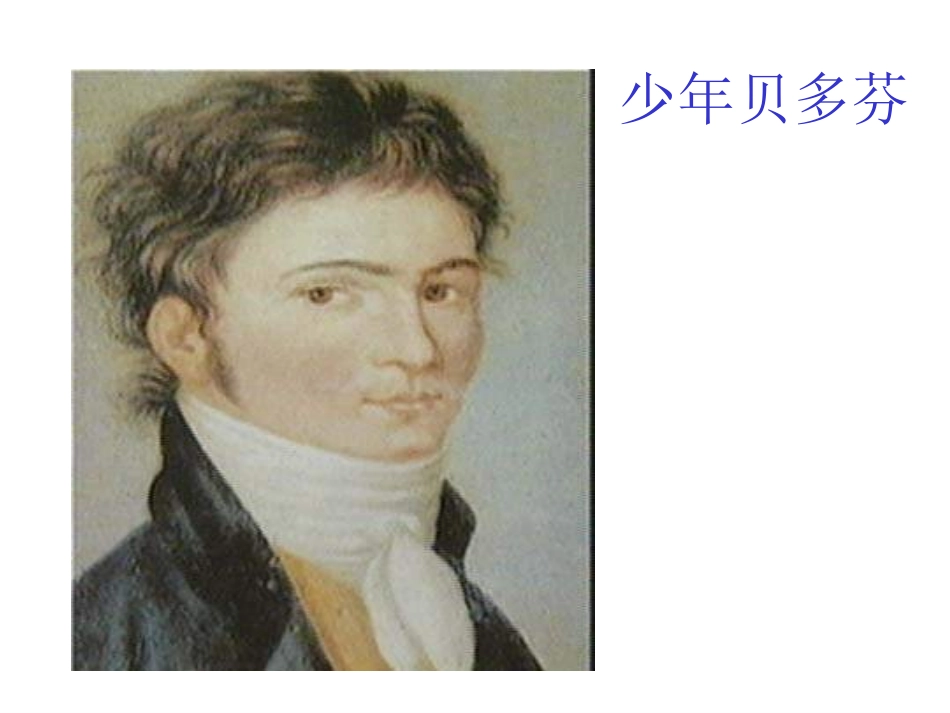 《音乐巨人贝多芬》课件（29页）_第3页