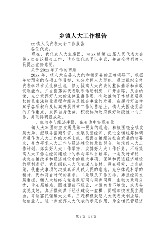 乡镇人大工作报告 (13)