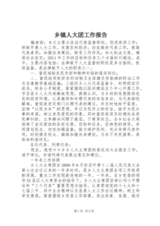 乡镇人大团工作报告