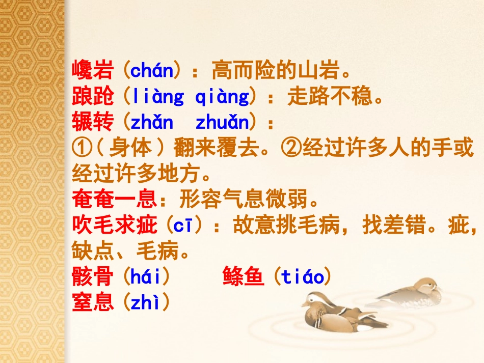 热爱生命课件_第3页