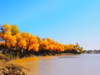 初中地理课件--西北地区